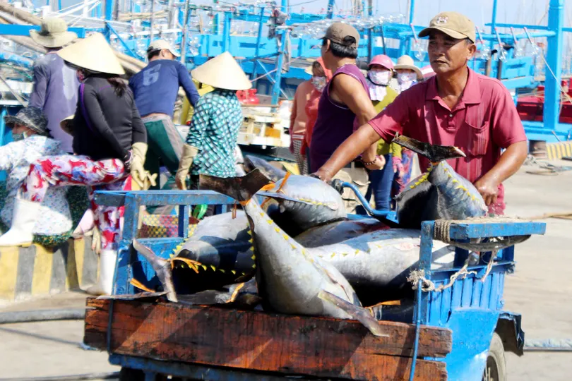 Mạnh về biển, phát triển bền vững từ biển - Bài 1: Nỗi niềm chưa giàu từ biển