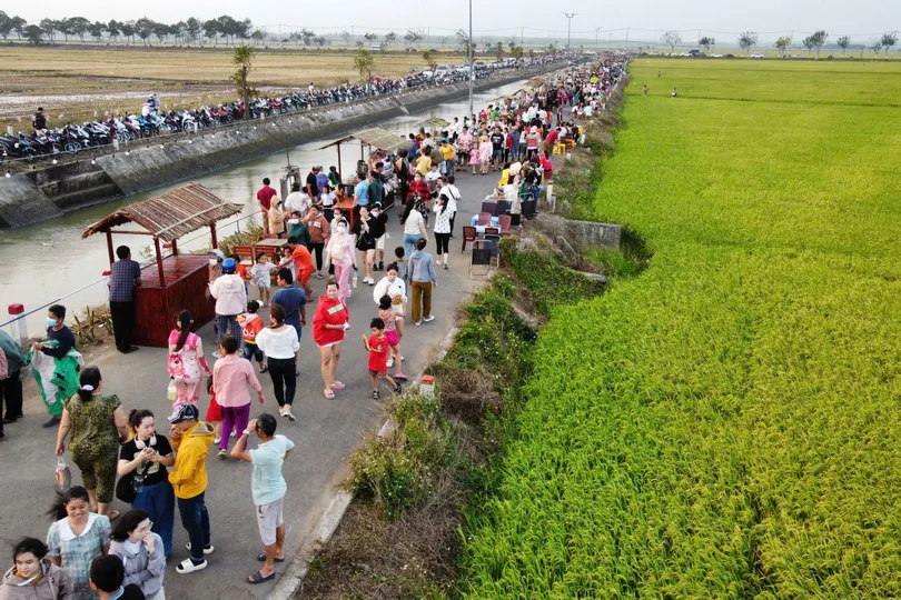 Ra đồng đi chợ