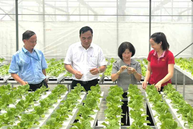 Khi chính sách cho khoa học - công nghệ được “trao tay”
