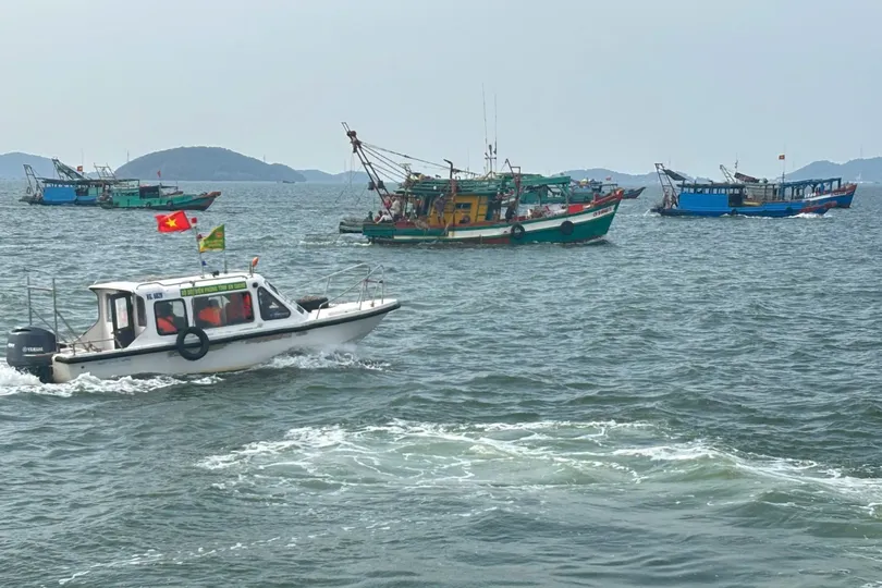 Tàu cá hoạt động tại khu vực cấm khai thác ở vùng biển Kiên Lương