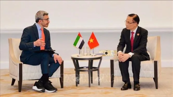 Bộ trưởng Ngoại giao Lê Hoài Trung gặp Bộ trưởng Ngoại giao UAE, Ai Cập và Thổ Nhĩ Kỳ