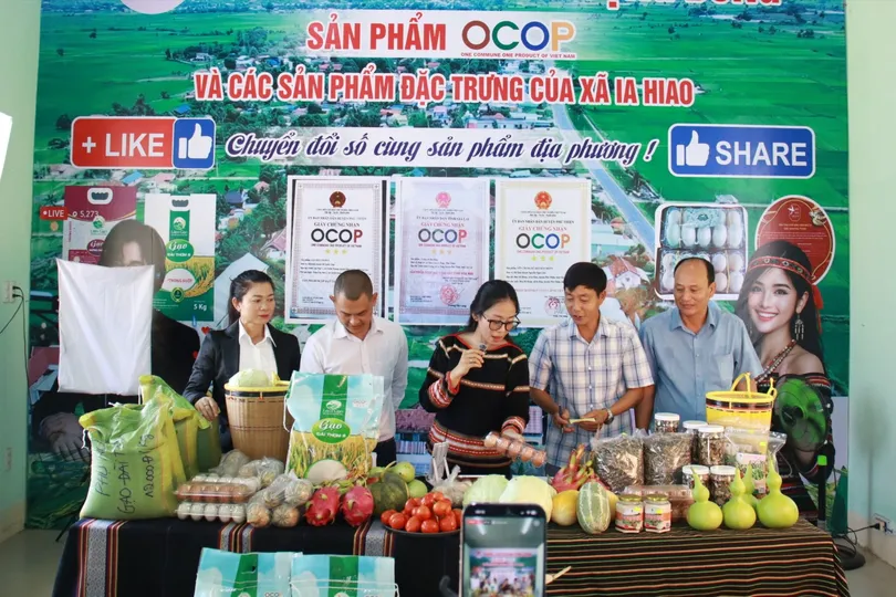 Gia Lai: Livestream bán nông sản, gây quỹ hỗ trợ 1.000 học sinh