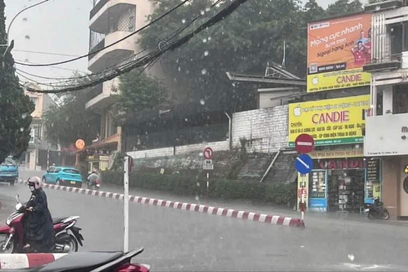 Lâm Đồng: Xuất hiện cơn mưa "vàng” giải nhiệt 