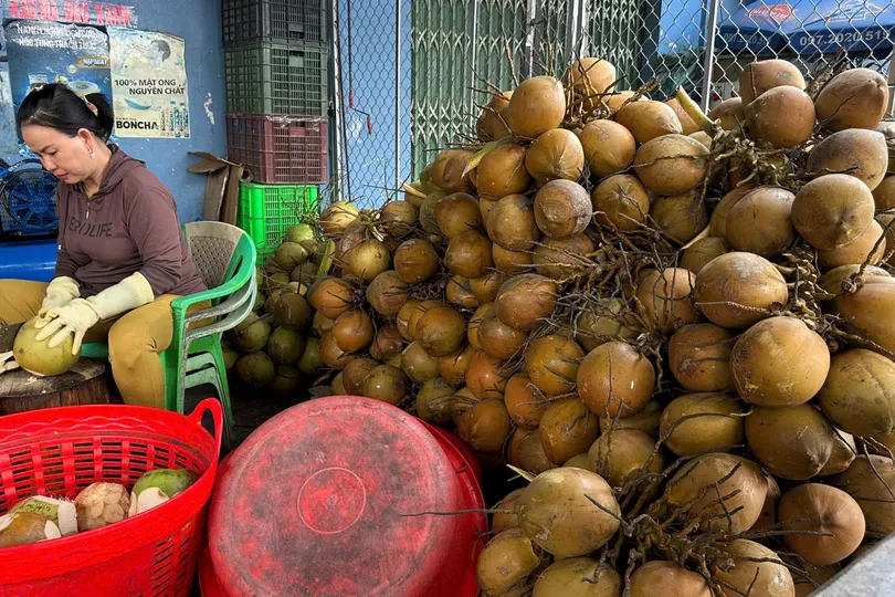 ĐBSCL: Giá dừa tươi tăng cao, nguồn cung thiếu hụt