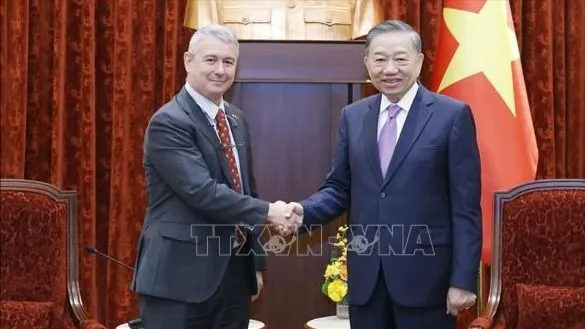 Tổng Bí thư, Chủ tịch nước Tô Lâm đã tiếp Đại sứ Đặc mệnh toàn quyền Vương quốc Bỉ. Ảnh: TTXVN.