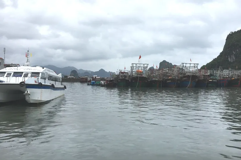 Các tỉnh, thành ven biển chủ động ứng phó gió Đông Bắc mạnh