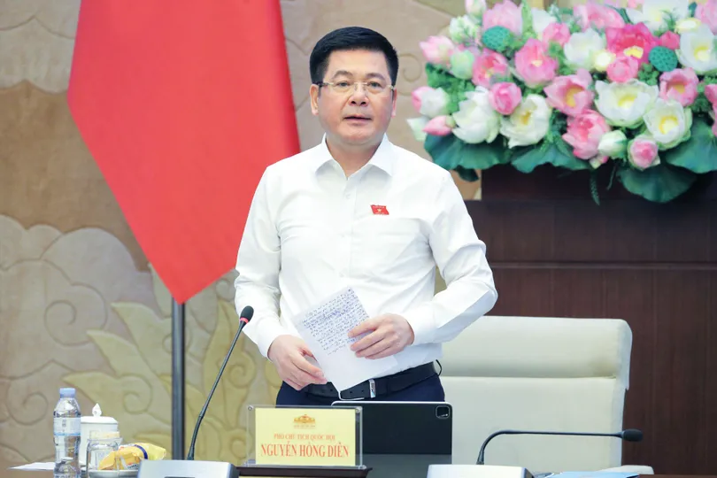Phó Chủ tịch Quốc hội Nguyễn Hồng Diên kết luận phiên làm việc. Ảnh: CẨM HÀ 
