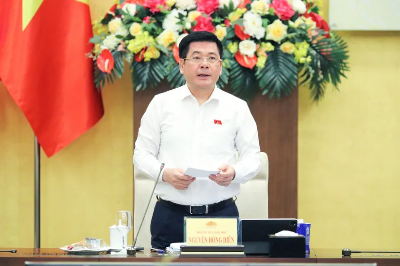 Phó Chủ tịch Quốc hội Nguyễn Hồng Diên phát biểu tại hội thảo. Ảnh: CẨM HÀ