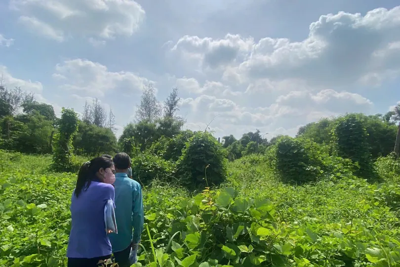 VKSND khu vực 2 - TPHCM khởi kiện vụ án dân sự công ích, đòi lại tài sản công