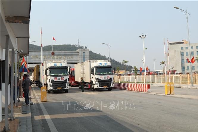在谅山省芝麻口岸通关的进口货运车辆。