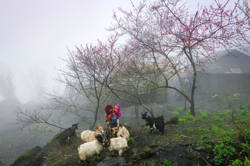 本土文化为越南旅游目的地的独特吸引力作出贡献。图自Vietnam+