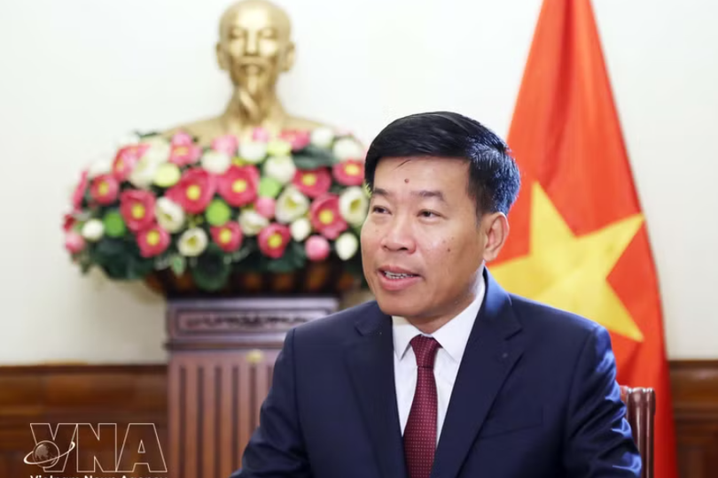 党中央委员、外交部党委常务副书记、外交部副部长阮孟强。图自越通社