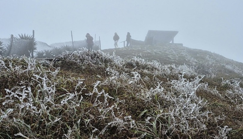 Strong cold surge forecast, frost possible