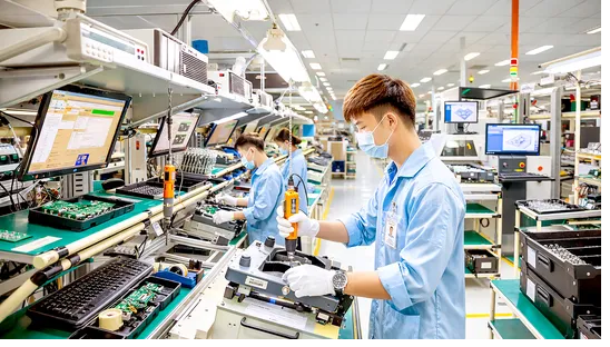 Domestic market serves as growth lever