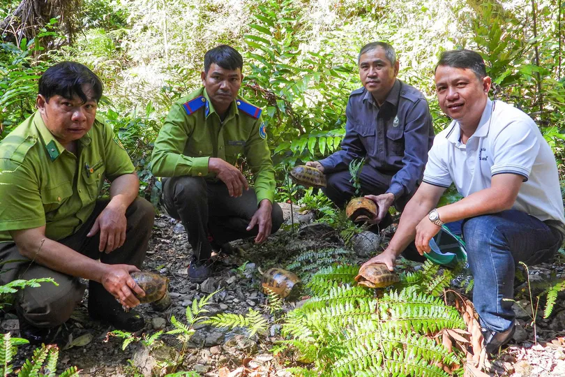Gia Lai: Thả 6 động vật rừng quý hiếm về môi trường tự nhiên