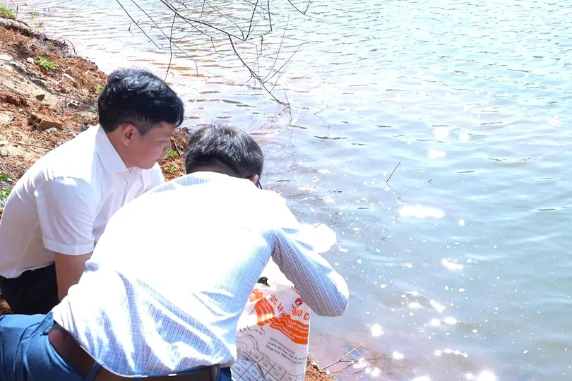 Quảng Ngãi: Thả 5.000 con cá xuống hồ Đăk Ke
