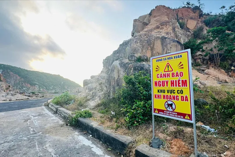 Đắk Lắk: 5 du khách nhập viện cấp cứu vì bị khỉ cắn