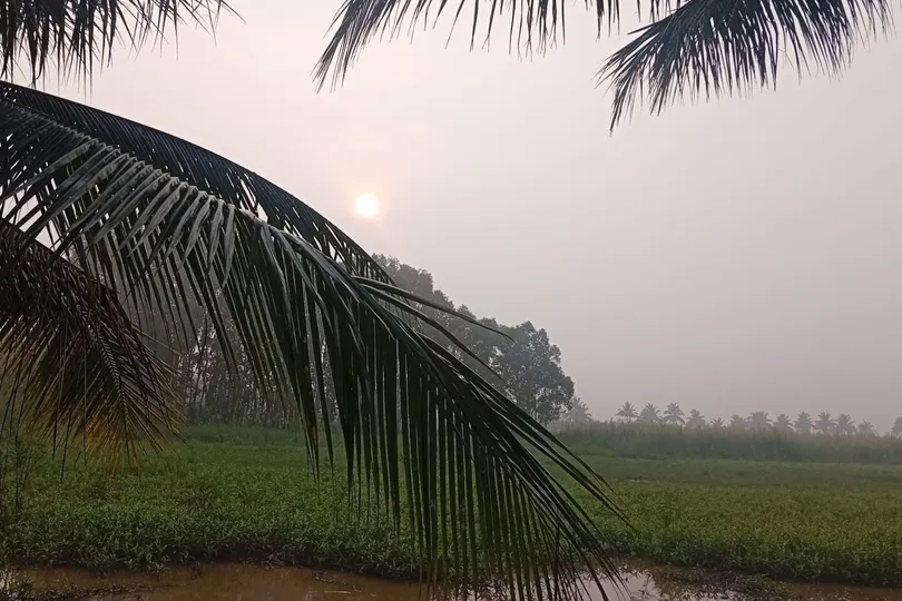 Chưa xác định được nguyên nhân "lớp mù bao phủ" nhiều nơi ở Nam bộ