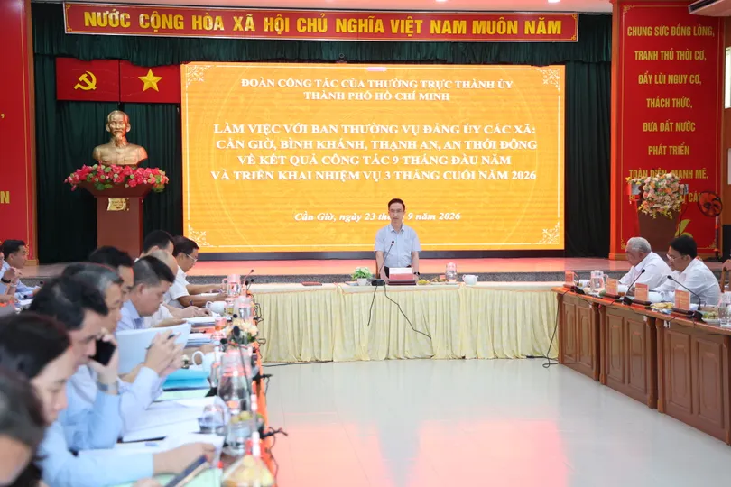 Phó Bí thư Thành ủy TPHCM Đặng Minh Thông chủ trì buổi làm việc. Ảnh: LÊ THOA