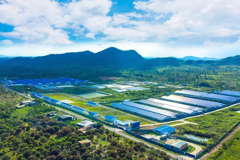 Vũ Mạnh Hùng: Doanh nhân tiên phong chuyển đổi số