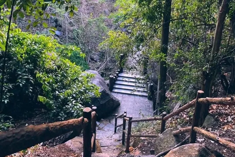 Cơ quan chức năng thông báo tăng cường kiểm soát người và phương tiện ra, vào Khu rừng Văn hóa - Lịch sử núi Bà Đen