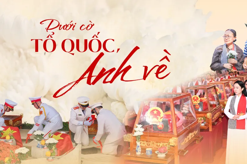 Dưới cờ Tổ quốc, Anh về