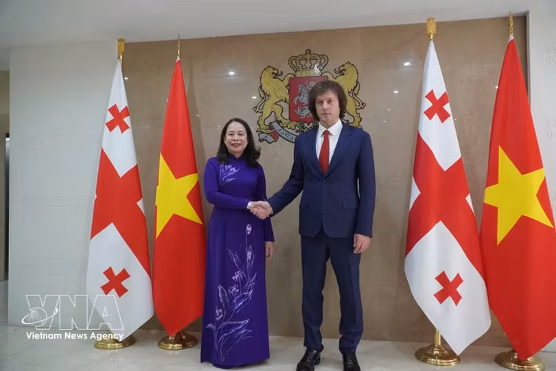 越南国家副主席武氏映春与格鲁吉亚总理伊拉克利·科巴希泽。图自越通社