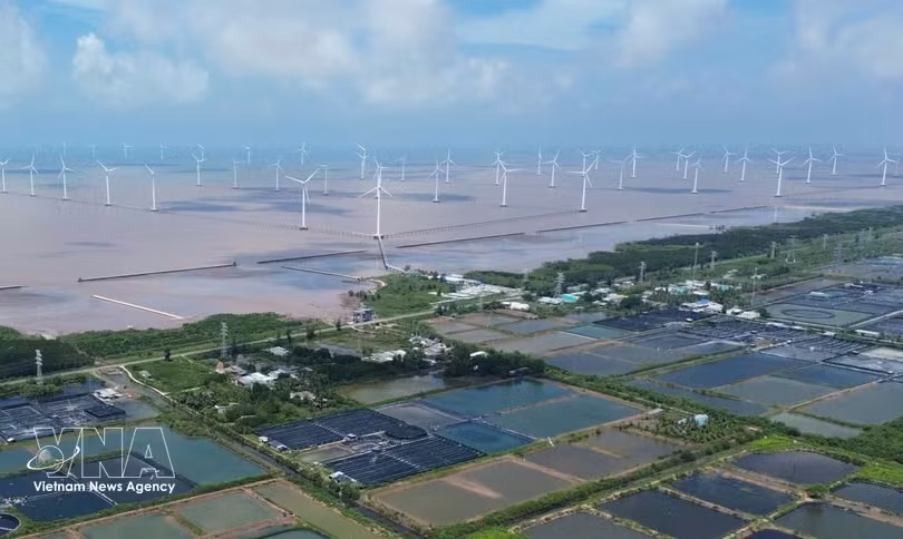 金瓯省东海乡海上风电项目。图自越通社