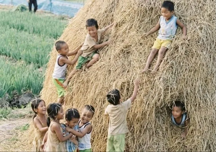 Vị của mùa Thu