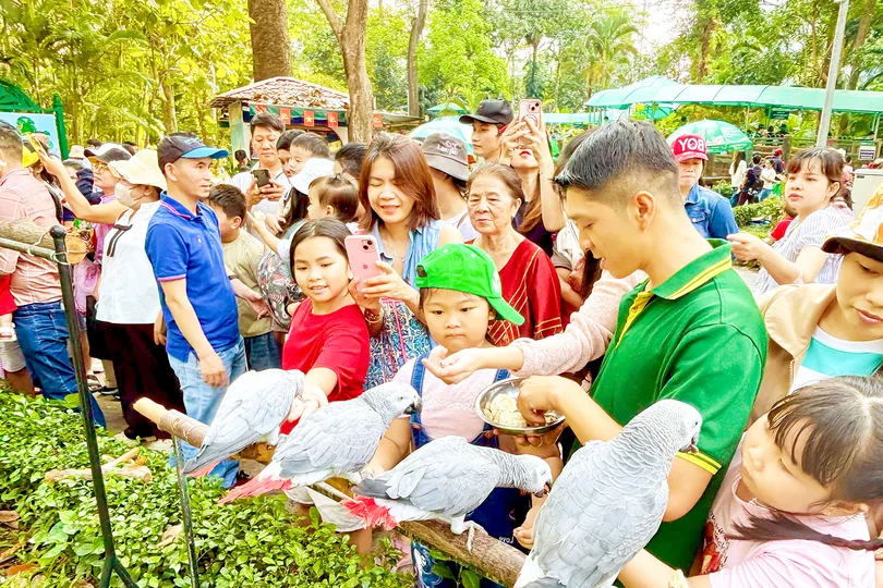 Rộn ràng du lịch đầu năm mới