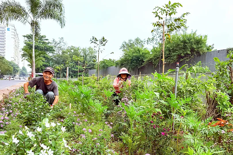 Những khu phố ngập sắc hoa