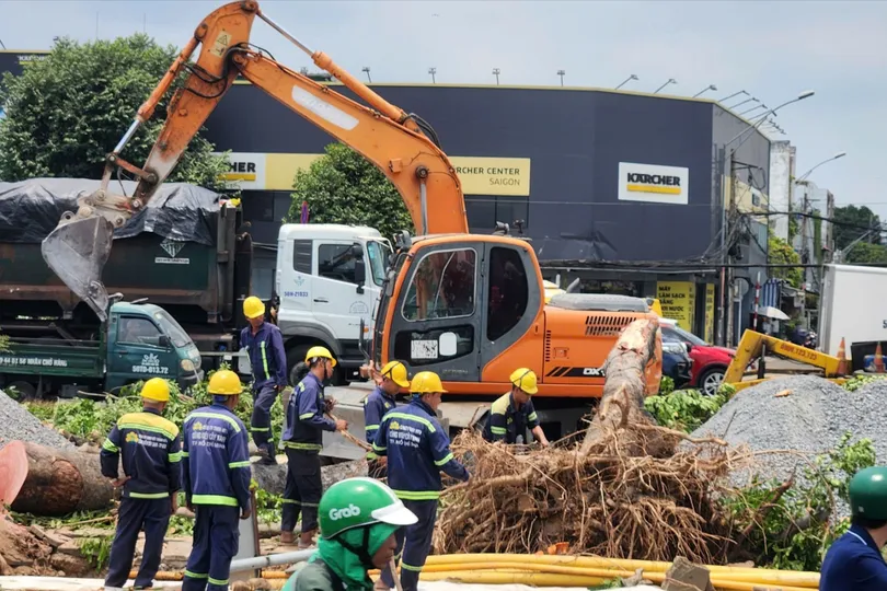 Đốn hạ cây xanh trên đường Trường Chinh, phường Tân Sơn, TPHCM. Ảnh: TÍNH LIÊN