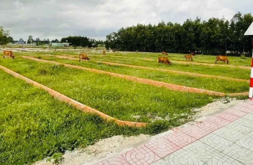  Một khu đất phân lô trên địa bàn phường Tân Thành, TPHCM. Ảnh: QUANG VŨ