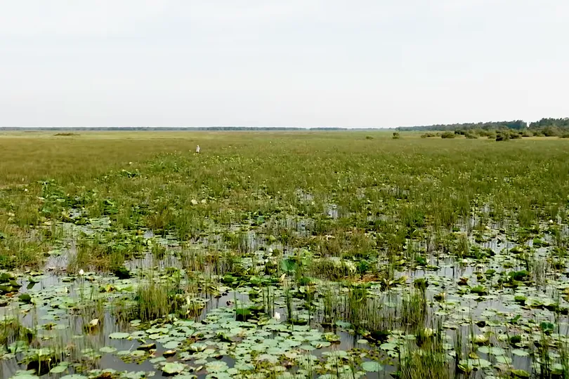 Khởi động dự án phục hồi sinh thái, đảm bảo sinh kế thích ứng khí hậu ĐBSCL