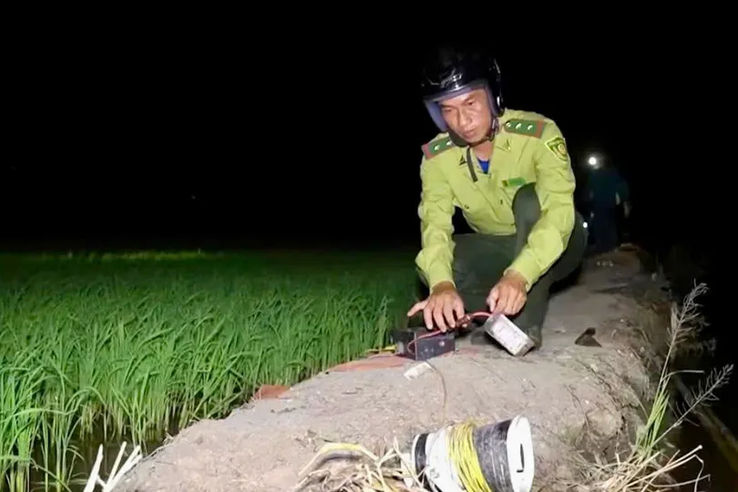 Đồng Tháp tăng cường tuần tra, ngăn chặn săn bắt trái phép chim hoang dã