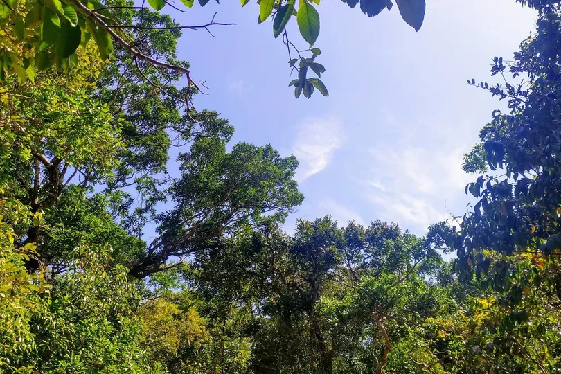 TPHCM tăng cường quản lý trật tự xây dựng, phòng cháy chữa cháy dịp tết