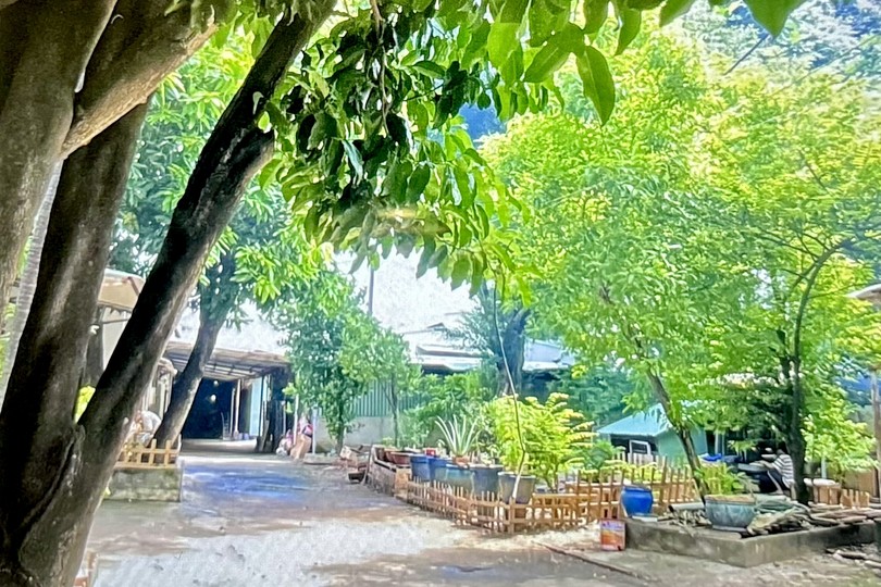 《一栋房子》林松风/摄