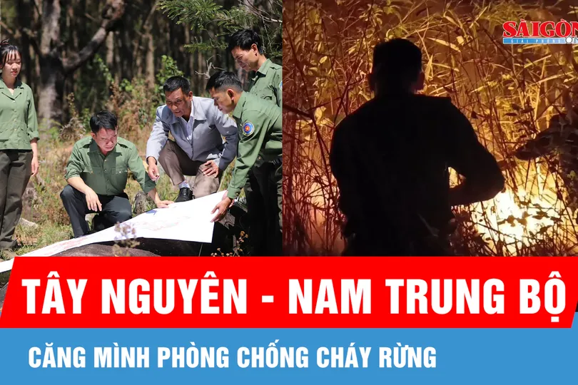 Tây Nguyên - Nam Trung bộ căng mình phòng chống cháy rừng