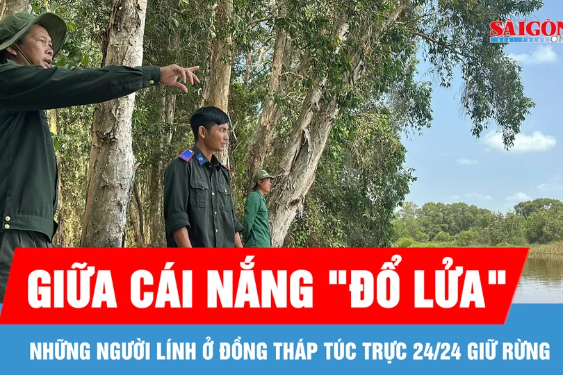 Giữa cái nắng "đổ lửa", những người lính ở Đồng Tháp túc trực 24/24 giữ rừng 