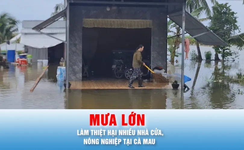 Podcast bản tin thời sự ngày 26-9: Thống kê thiệt hại do mưa lớn kéo dài tại Cà Mau