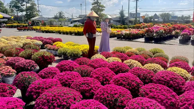 A flower market in Sa Dec, Dong Thap Province (Photo: SGGP)
