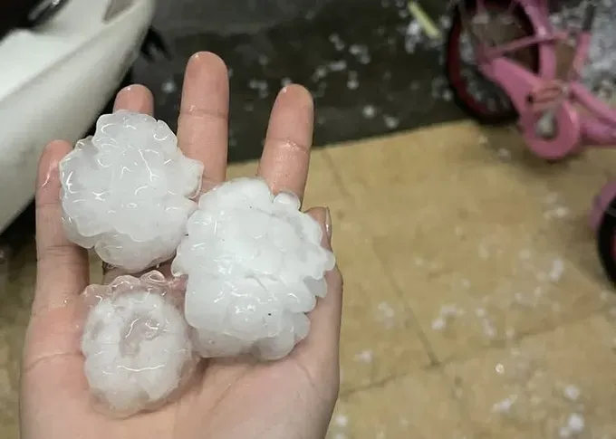 The hailstones are quite large in size.