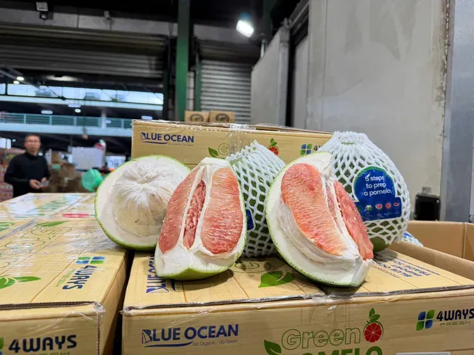 Vietnam’s first shipment of pomelos arrives in Austrralia. (Photo: Plant Production and Protection Department)