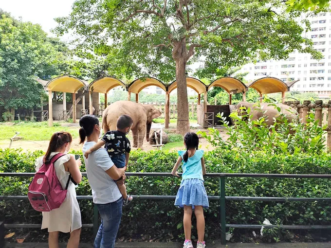 The Cultural Colors Festival officially opens at the Saigon Zoo and Botanical Gardens. (Photo: SGGP)