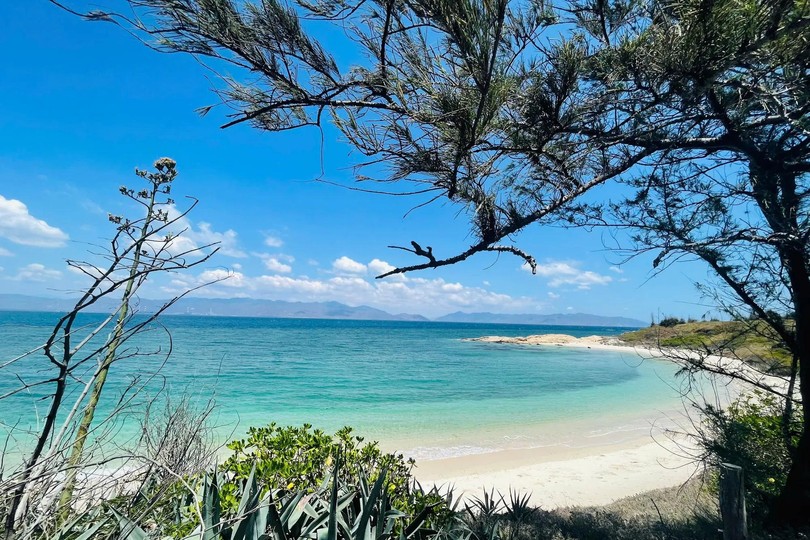 Visitors immersed in pristine beauty of Hon Cau Island