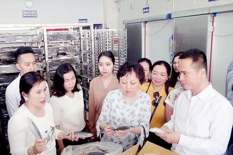 Tạo sự đồng bộ về quản lý an toàn thực phẩm