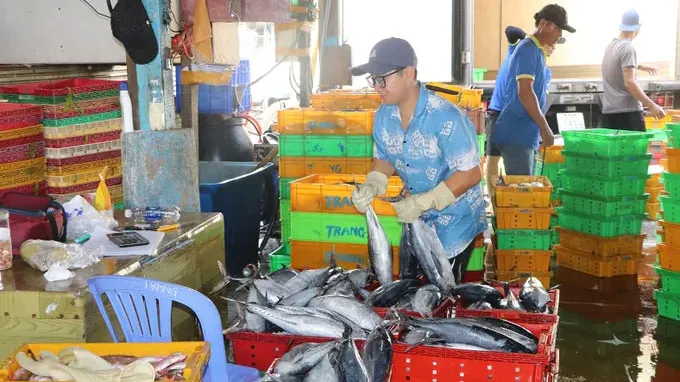 Từ cuốn sổ đến dữ liệu điện tử