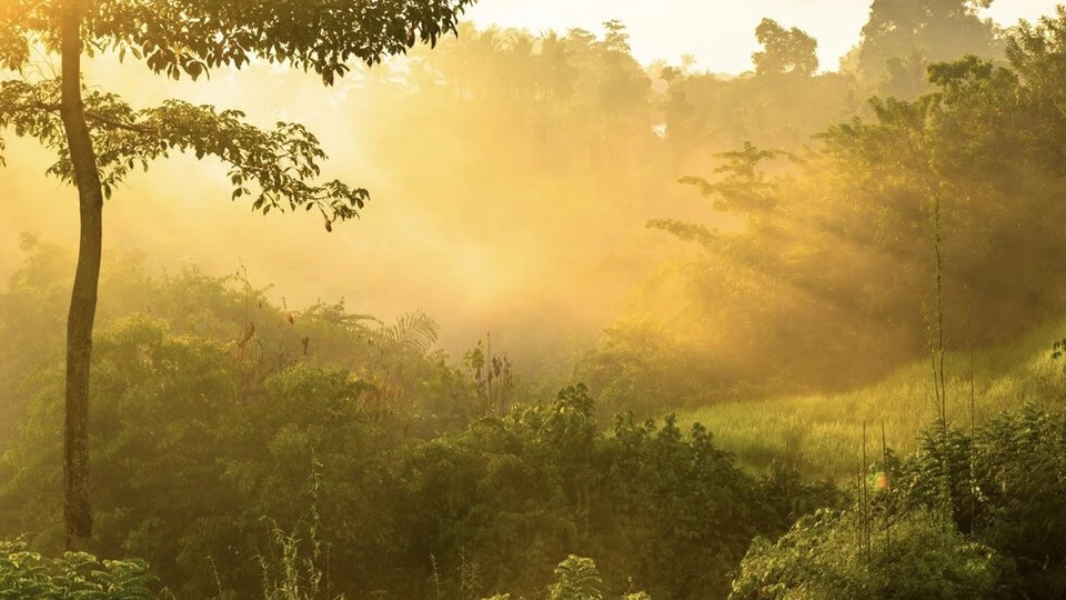 Hành quân nghe O hát "Xa khơi"