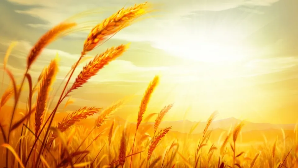 Chân Lý Muôn Đời