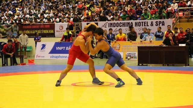 越南摔跤队获得绝对胜利